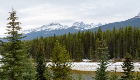 Stunning winter view of Banff National Park with Canadian Rockies mountains in Alberta, Canadaの写真素材