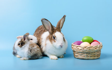 Adorable mother rabbit with two baby rabbits sitting next to colorful easter eggs in basket on blue background. Pet animal family concept.の写真素材