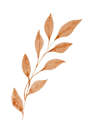 Brown leaf watercolor on white backgroundの写真素材