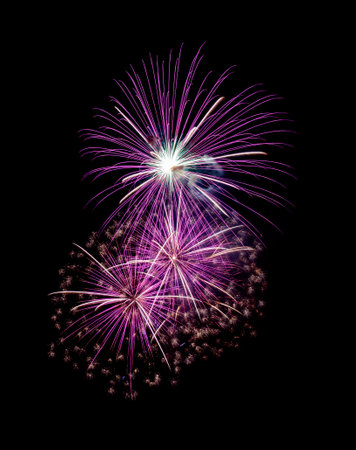 Beautiful pink fireworks display isolated on black background for celebration and anniversaryの写真素材