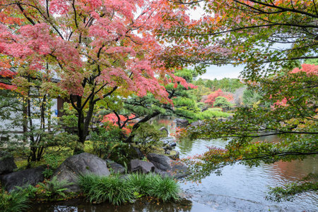 Autumn scenery with red maple trees and pond of Kokoen garden in Himeji, Japanの写真素材