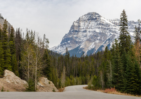 Scenery road view of Snow capped Rocky Mountain in Yoho National Park, British Columbia, Canadaの写真素材