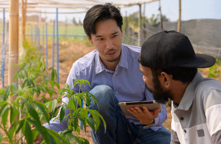 Farmer and agricultural expert discuss plant growth inside a greenhouse. Expert holding digital...