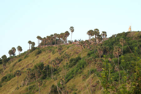 Man and Sunsetの写真素材