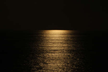 Dark