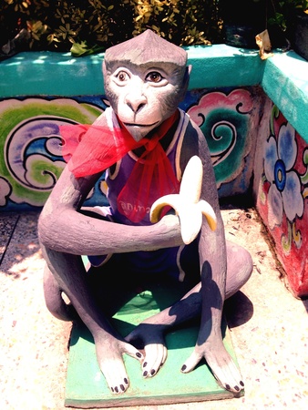 Monkey 