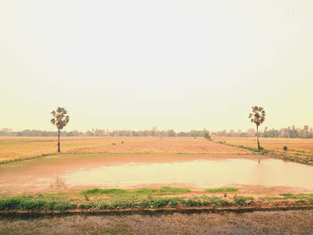 Farm backgroundの素材