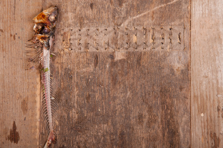 brown wooden backbround with sardine bone