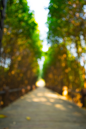 Abstract  the way natural bokeh backgroundの写真素材