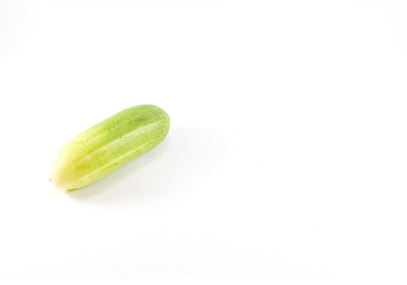 Green cucumber in  on white backgroundの写真素材
