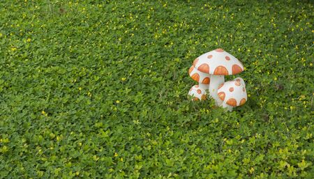 Ceramic mushrooms  on green grass backgroundの写真素材
