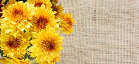 Group of colorful flower on sack background.の写真素材