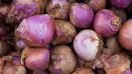 Group of Red onion textture background.の写真素材