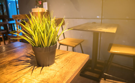 Still-life plant in low light on wood table.の写真素材