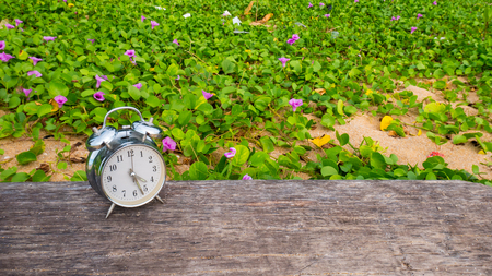 table clock on Timber or wood.の写真素材