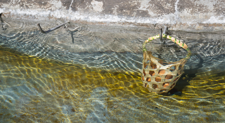 Egg in the basket are boiled in hot springs at sankamphaeng  hot springs chiangmai の写真素材