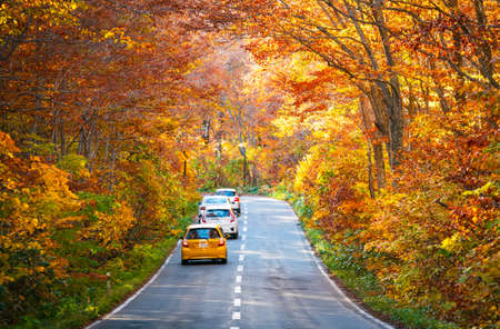 AOMORI, JAPAN OCT 2018 : Hakkoda gold line the highway road number 109 in Aomori Prefecture during the fall trees along the road will gradually change the color according to the altitude of the areaのeditorial素材