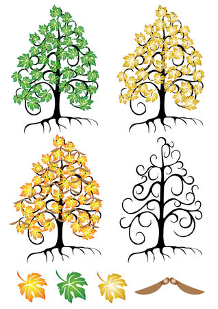 maple leaves treesのイラスト素材
