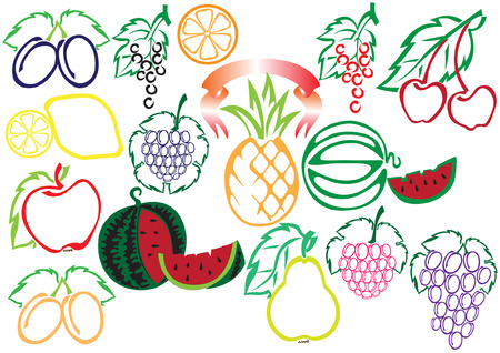 big fruit collectionのイラスト素材