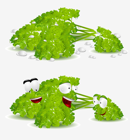 curly parsley character on white backgroundのイラスト素材