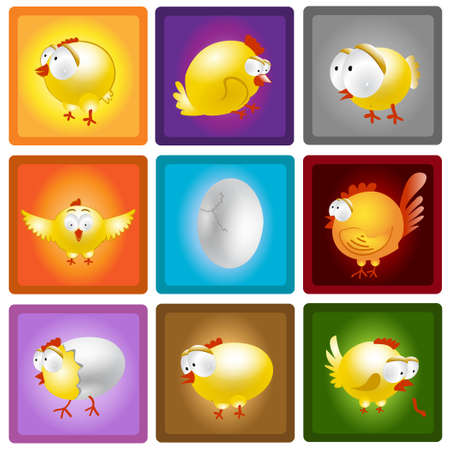 chicken hen egg set collectionのイラスト素材