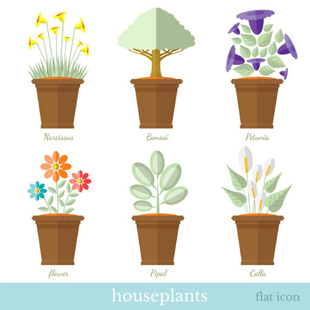 flat design set of house plant and flower with flowerpotのイラスト素材
