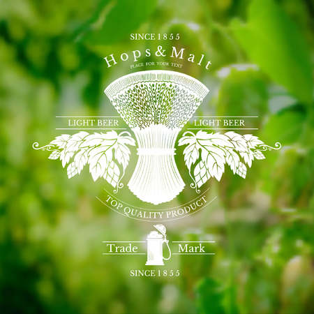 beer label with sheaf spikelet and hop on realistic backgroundのイラスト素材