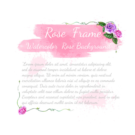 pink and violet watercolor rose with leaves elements and brushstroke on white background,template card or greeting for textのイラスト素材