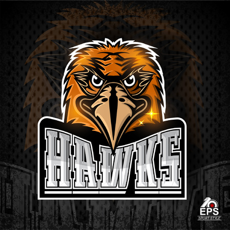 Bird head for any sport team hawksのイラスト素材