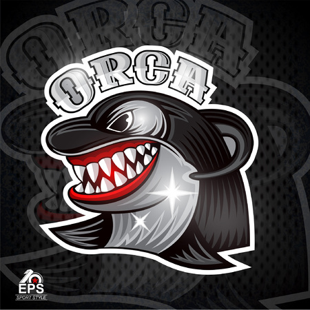 Orca face in profile with bared teeth for any sport teamのイラスト素材