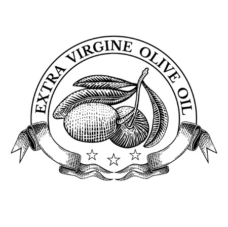 Engraving olives with leaves in the middle of ribbons. Vintage style for food or product designのイラスト素材