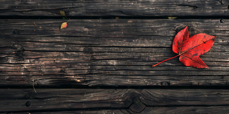 Autumn leaf on wooden background. Top view with copy space.の素材