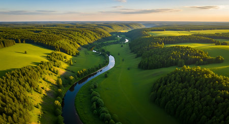 Aerial view of green meadow and forest with river at sunsetの素材
