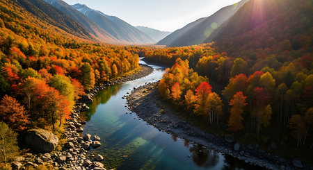 Colorful autumn landscape with river and colorful forest. Panoramic viewの素材