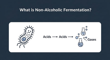 Antibacterial and antiviral properties. Antibacterial infections.の素材