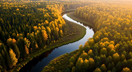 Aerial view of river in autumn forest at sunset. Top viewの素材