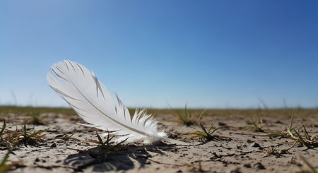 White feather on the ground against the blue sky with space for textの素材