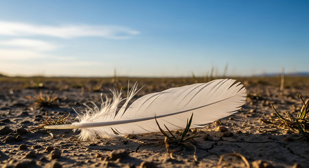 Feather on the ground in the desert. Selective focus.の素材