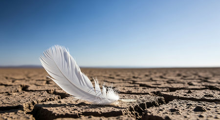 White feather on dry ground. Concept of drought and global warming.の素材