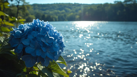 Beautiful blue hydrangea on a background of the lakeの素材