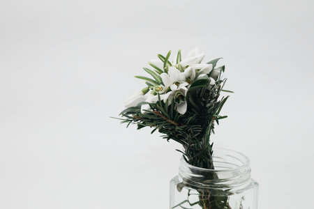 Bouquet of snowdrops in a glass jar on a white backgroundの写真素材