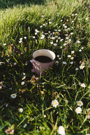 Cup of coffee on the green grass with daisies.