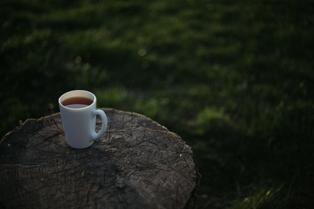 Cup of tea on a stump in the garden. Selective focus.