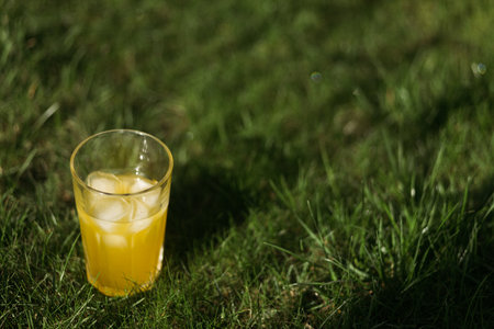 A glass of orange juice on the green grass in the park.の写真素材
