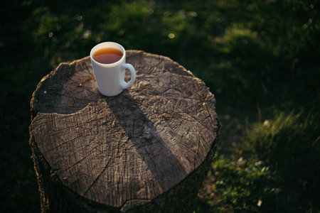 Cup of tea on a stump in the sunlight. Tea in a white cup on a wooden stump.の写真素材