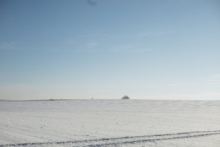 Beautiful winter landscape with snow-covered field and blue sky.