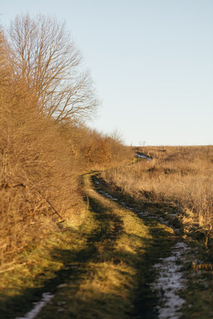 Dirt road in the field in early spring. Rural landscape.の写真素材