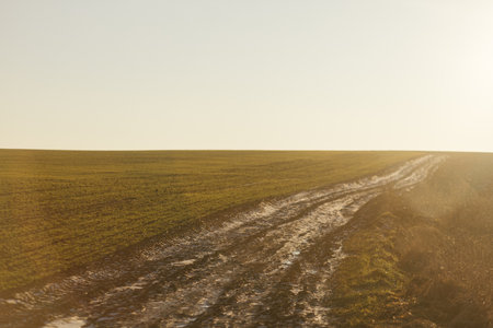 Dirt road in the middle of the field at sunset. Rural landscape.