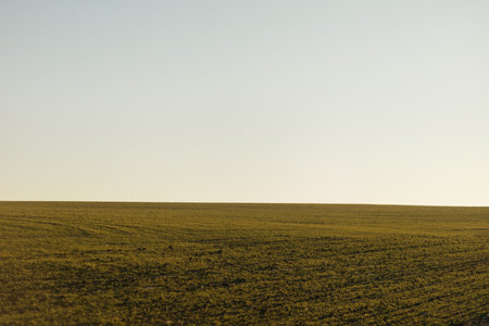 Sunset over a field with green grass and blue sky in the backgroundの写真素材