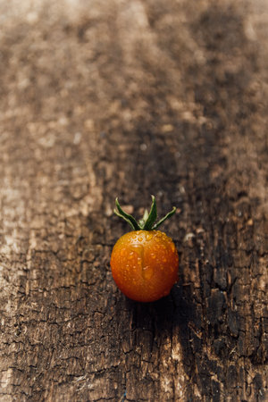 Ripe cherry tomato on a wooden background. Selective focus.の写真素材